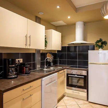 Apartment Loft Spacieux Chambéry