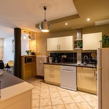 Loft Spacieux Apartment Chambéry
