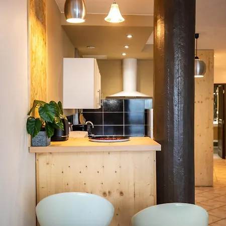 Loft Spacieux Appartement Chambéry