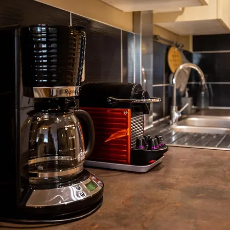 Appartement Loft Spacieux *